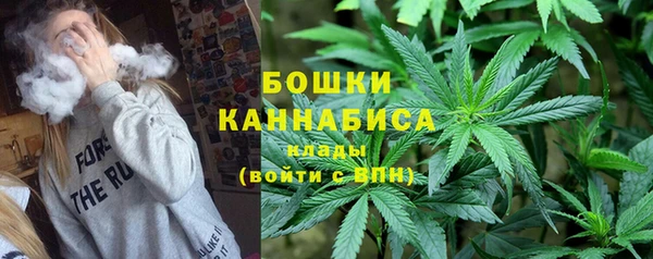 гидропоника Карталы
